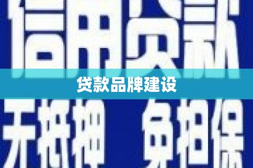 维西贷款品牌建设