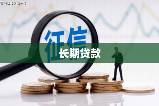 维西长期贷款