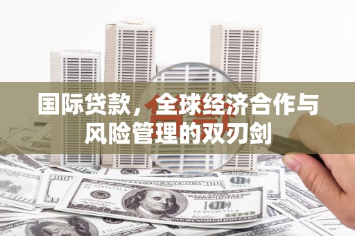 维西国际贷款，全球经济合作与风险管理的双刃剑