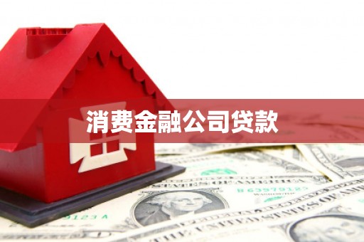 维西消费金融公司贷款