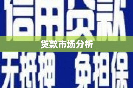 维西贷款市场分析