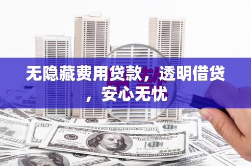 维西无隐藏费用贷款，透明借贷，安心无忧