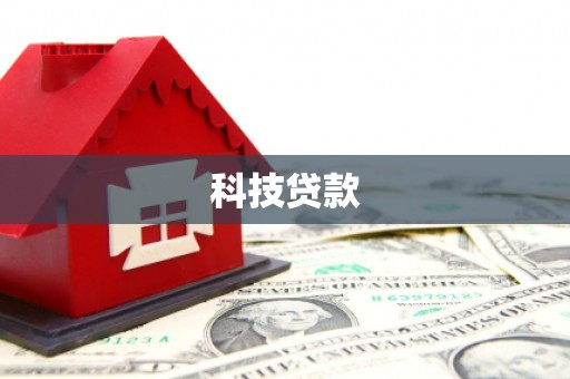 维西科技贷款