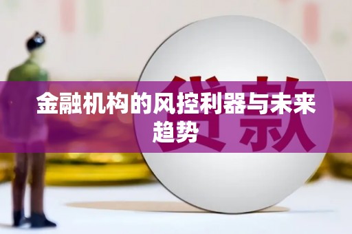 维西金融机构的风控利器与未来趋势