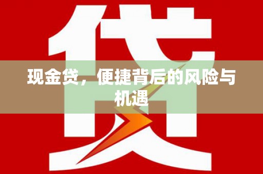 维西现金贷，便捷背后的风险与机遇