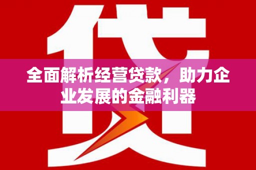 维西全面解析经营贷款，助力企业发展的金融利器