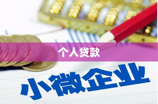 维西个人贷款