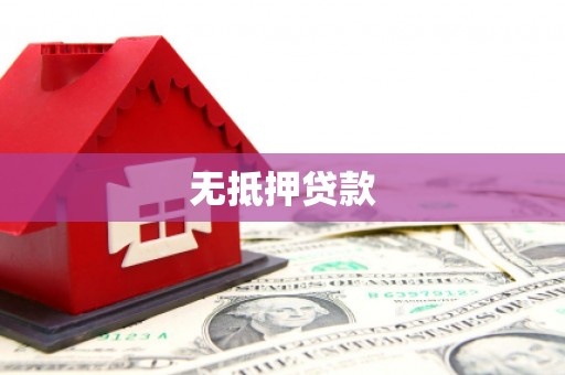 维西无抵押贷款