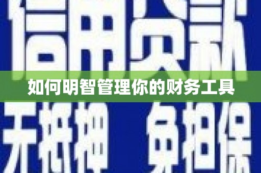 维西如何明智管理你的财务工具