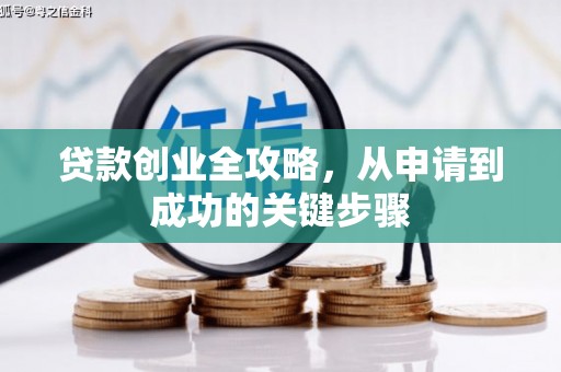 维西贷款创业全攻略，从申请到成功的关键步骤