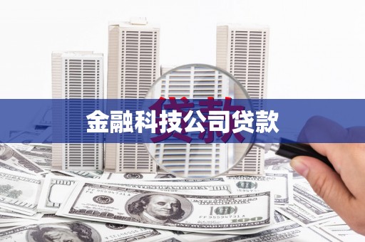 维西金融科技公司贷款
