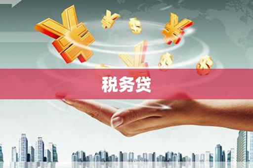 维西税务贷