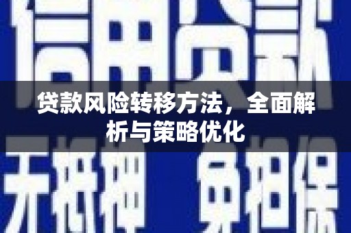 维西贷款风险转移方法，全面解析与策略优化