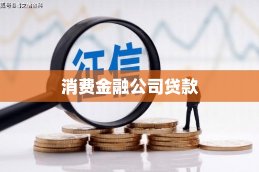 维西消费金融公司贷款