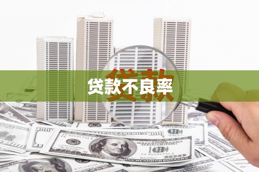 维西贷款不良率
