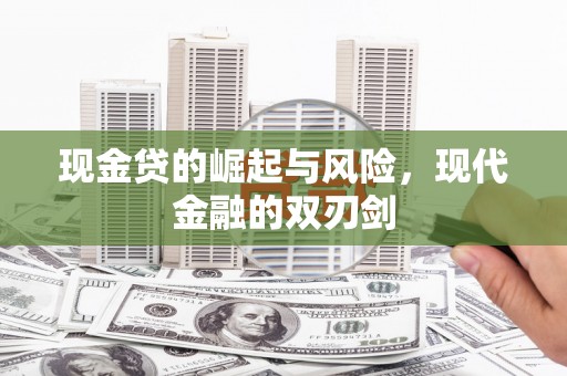 维西现金贷的崛起与风险，现代金融的双刃剑