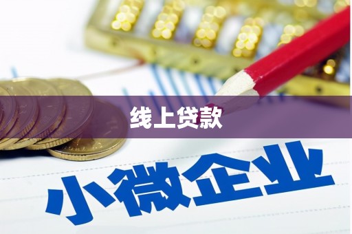维西线上贷款
