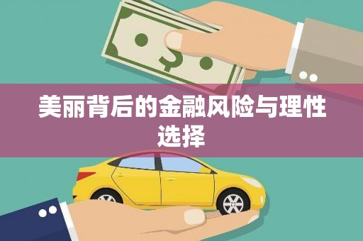 维西美丽背后的金融风险与理性选择