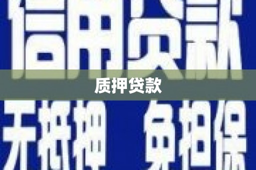 维西质押贷款