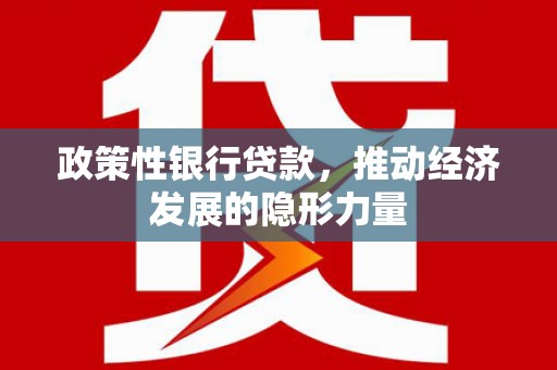 维西政策性银行贷款，推动经济发展的隐形力量