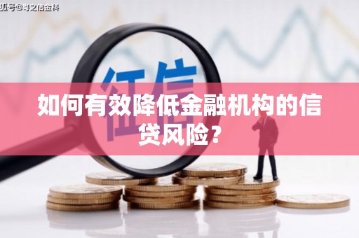 维西如何有效降低金融机构的信贷风险？