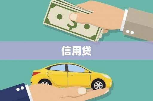 维西信用贷