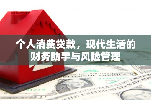 维西个人消费贷款，现代生活的财务助手与风险管理