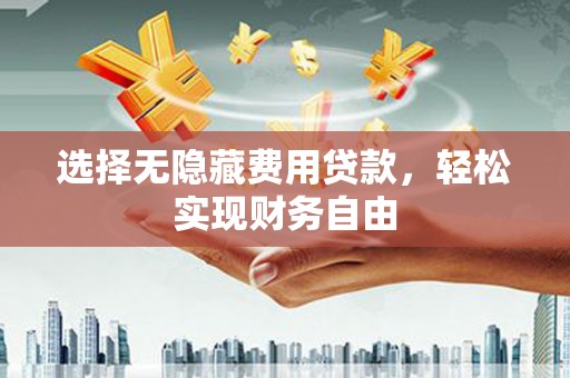 维西选择无隐藏费用贷款，轻松实现财务自由