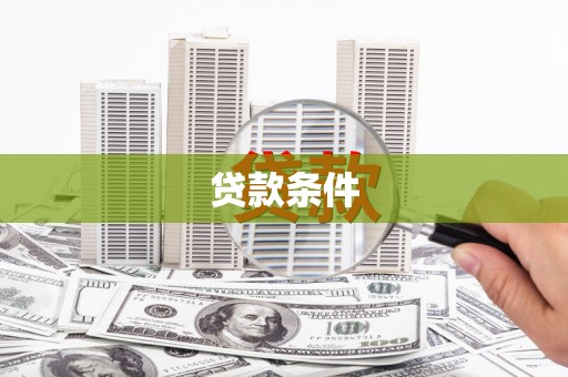 维西贷款条件