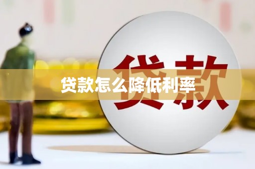 维西贷款怎么降低利率