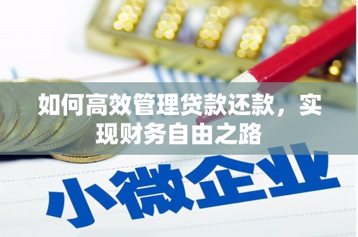 维西如何高效管理贷款还款，实现财务自由之路
