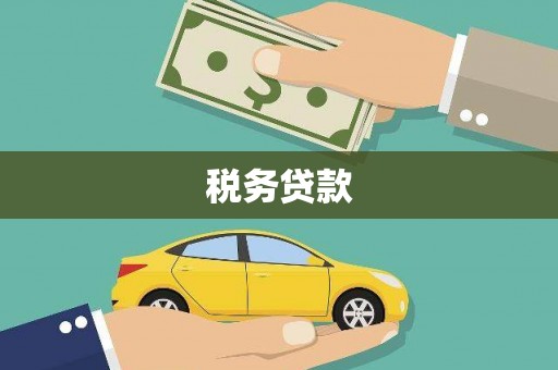 维西税务贷款
