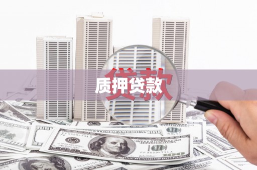 维西质押贷款