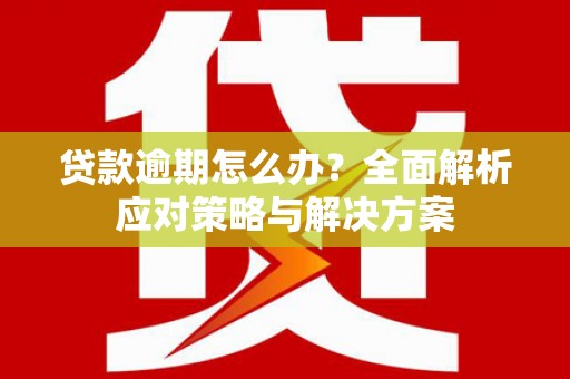 维西贷款逾期怎么办？全面解析应对策略与解决方案