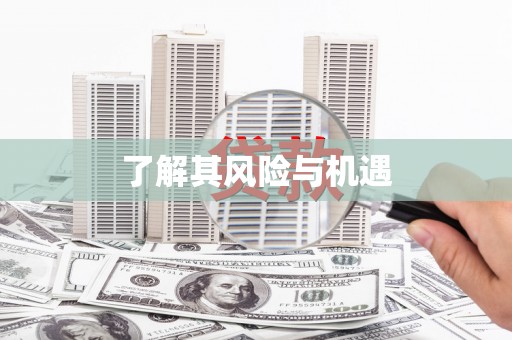 维西了解其风险与机遇