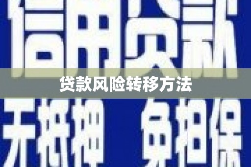 维西贷款风险转移方法 维西贷款风险转移方法