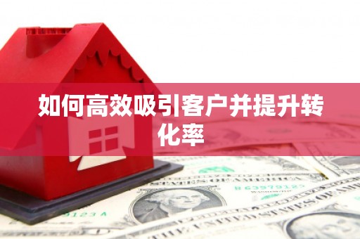 维西如何高效吸引客户并提升转化率