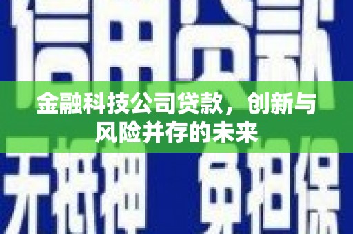维西金融科技公司贷款，创新与风险并存的未来