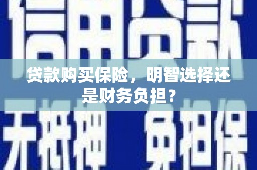 维西贷款购买保险，明智选择还是财务负担？