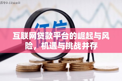 维西互联网贷款平台的崛起与风险，机遇与挑战并存