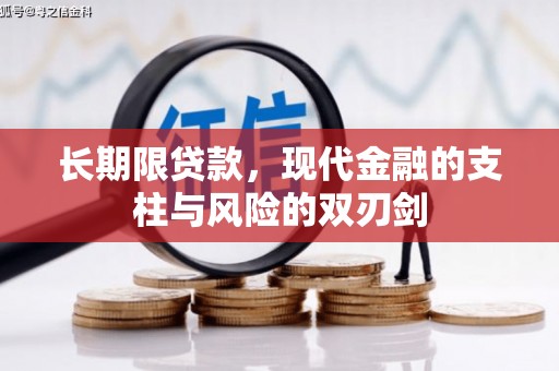 维西长期限贷款，现代金融的支柱与风险的双刃剑
