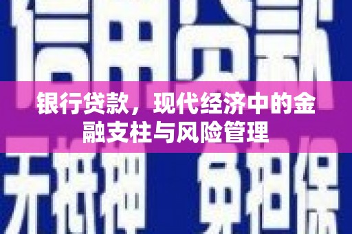 维西银行贷款，现代经济中的金融支柱与风险管理