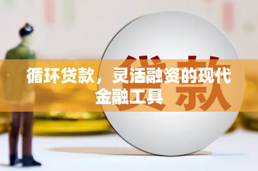 维西循环贷款，灵活融资的现代金融工具