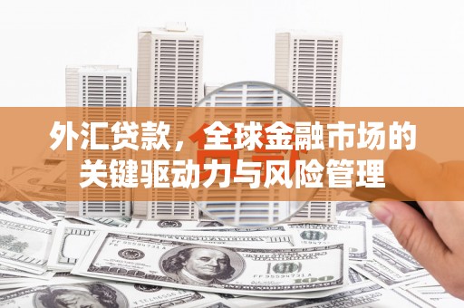 维西外汇贷款，全球金融市场的关键驱动力与风险管理