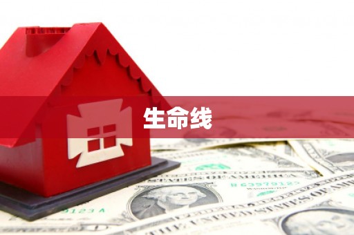 维西生命线