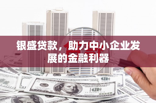 维西银盛贷款，助力中小企业发展的金融利器