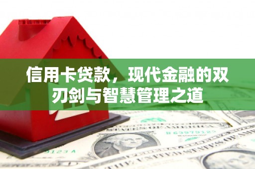 维西信用卡贷款，现代金融的双刃剑与智慧管理之道