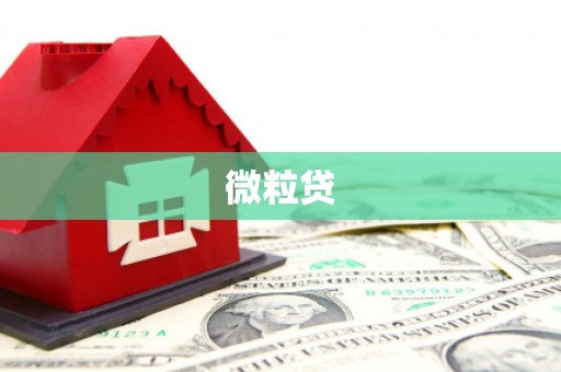 维西微粒贷