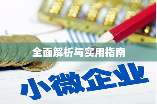 维西全面解析与实用指南