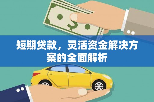 维西短期贷款，灵活资金解决方案的全面解析
